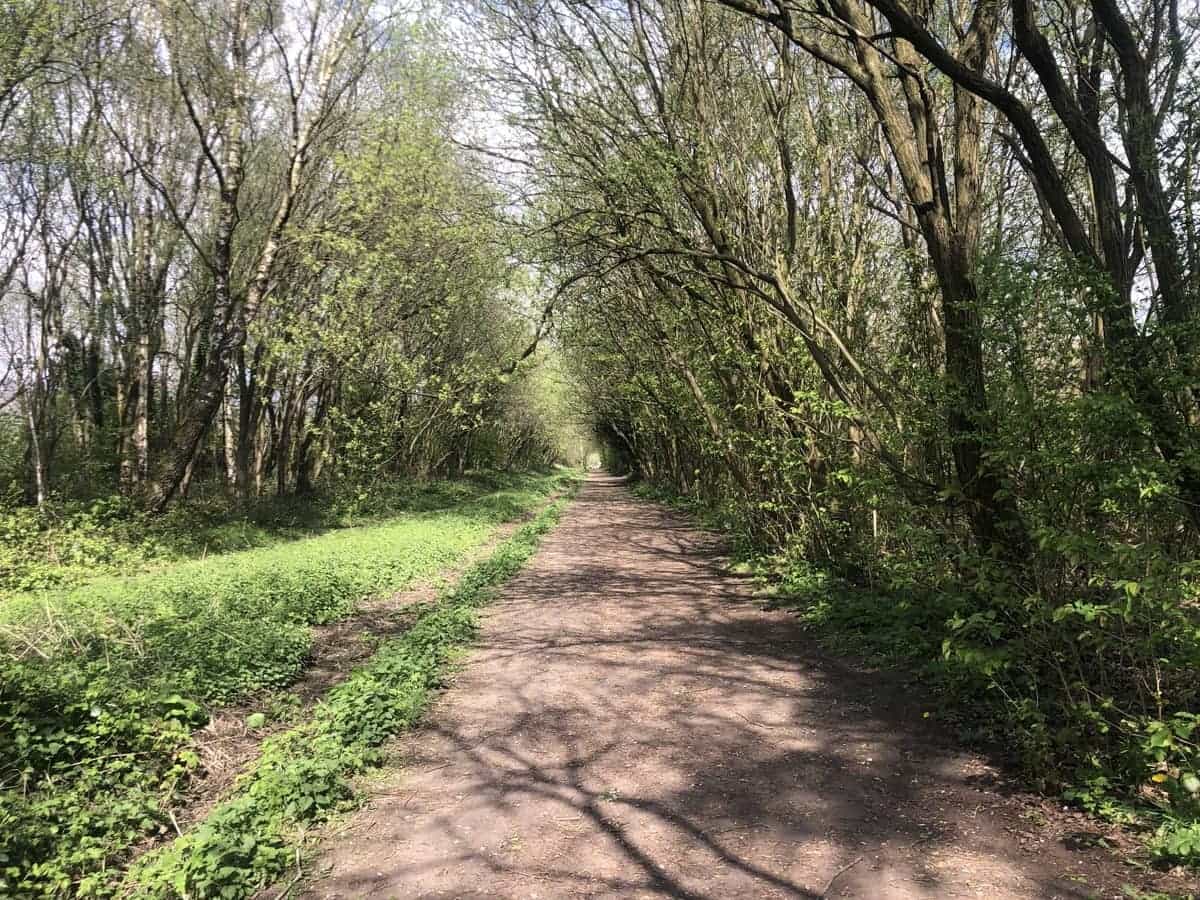 Longdendale Trail Peak District Walk