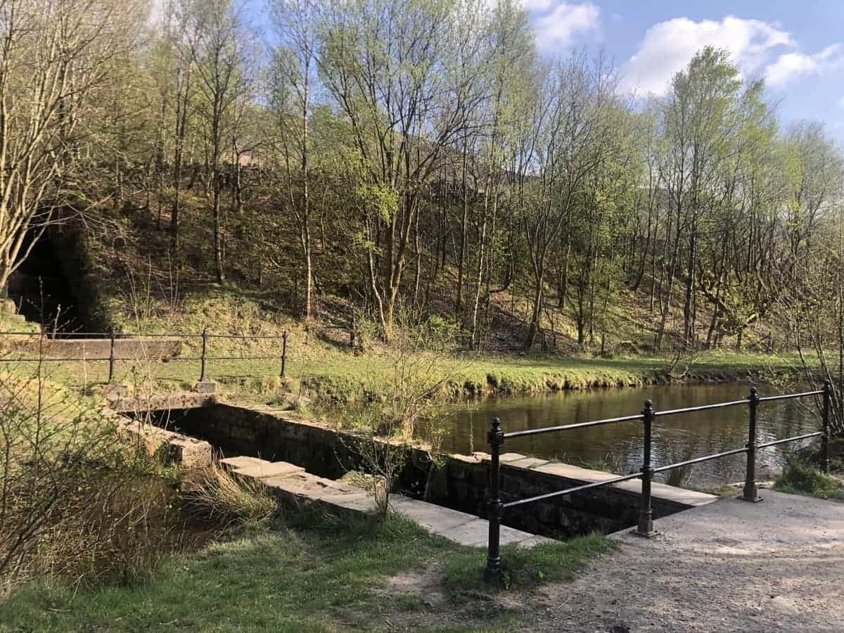 Nature pond on the Longdendale Trail